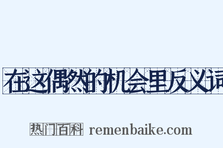 在这偶然的机会里反义词是什么意思的图片